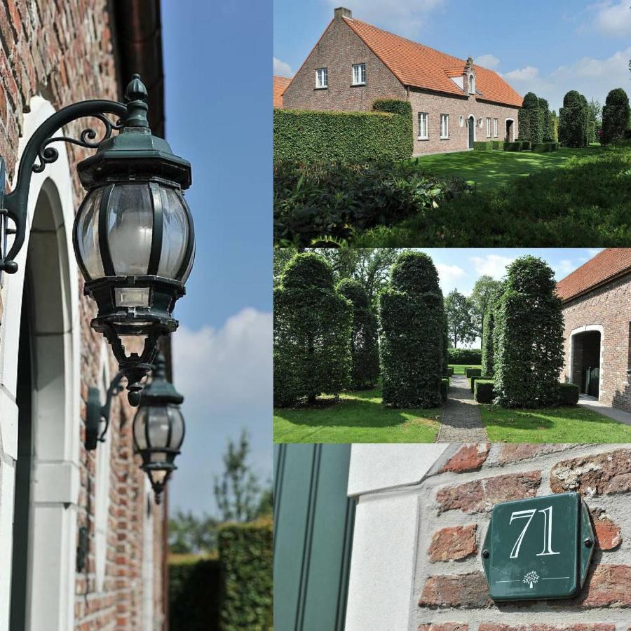 Villa71 Rijkevorsel Екстериор снимка
